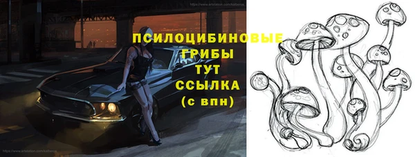 прущие грибы Корсаков