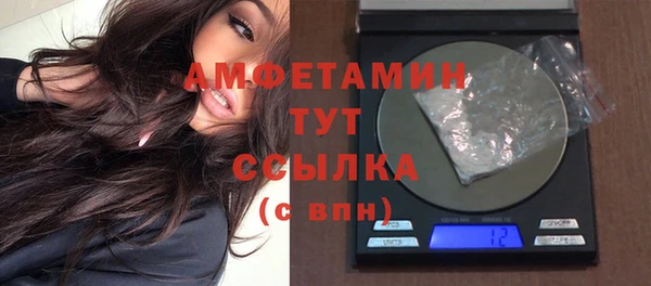 прущие грибы Корсаков