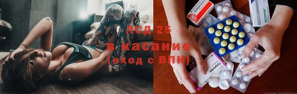 прущие грибы Корсаков