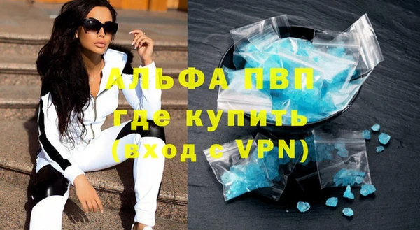 прущие грибы Корсаков