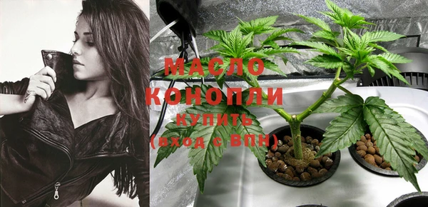 прущие грибы Корсаков