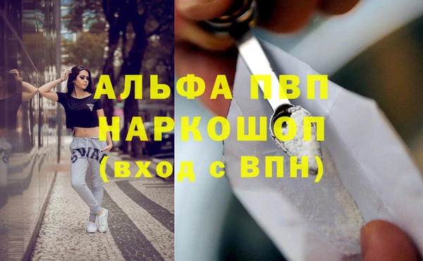 прущие грибы Корсаков
