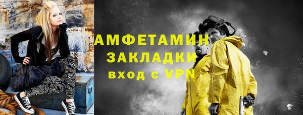 прущие грибы Корсаков