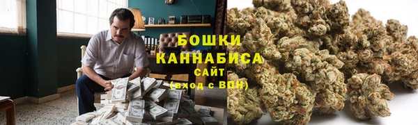 прущие грибы Корсаков
