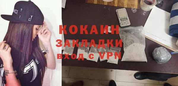 прущие грибы Корсаков