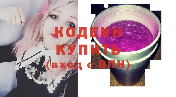 прущие грибы Корсаков